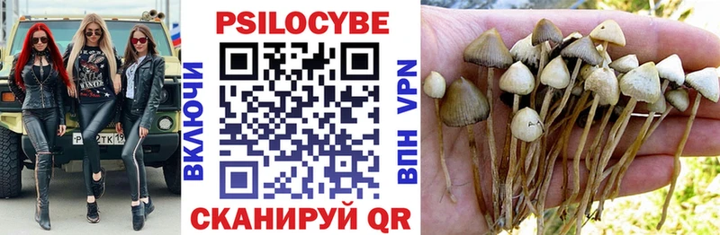Купить закладки  Высоцк  Псилоцибиновые грибы MAGIC MUSHROOMS 